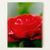 Morning red Rose bedekt met dauwdruppels Planner (Achterkant)