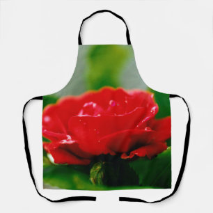 Morning red Rose bedekt met dauwdruppels Schort