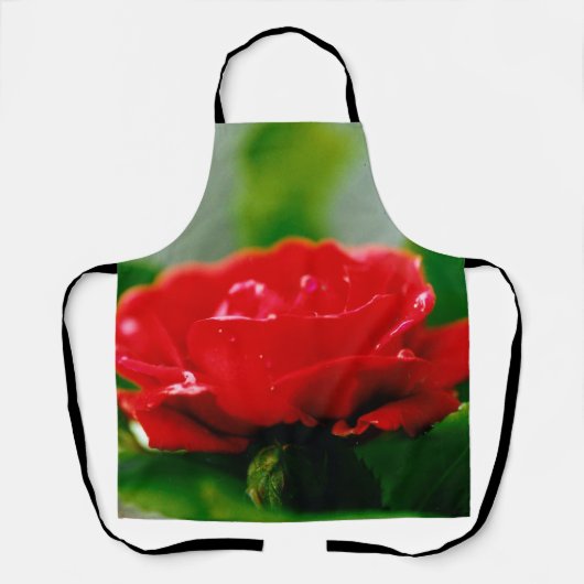 Morning red Rose bedekt met dauwdruppels Schort (Voorkant)