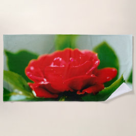 Morning red Rose bedekt met dauwdruppels Strandlaken