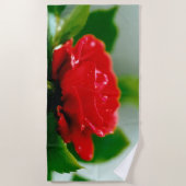 Morning red Rose bedekt met dauwdruppels Strandlaken (Voorkant)