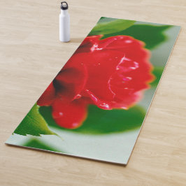 Morning red Rose bedekt met dauwdruppels Yogamat