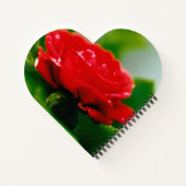 Morning Red Rose Hartvormig Notitieboek (Achterkant)