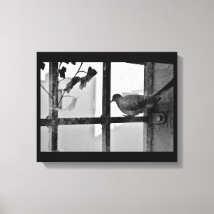 Morning Rest Canvas Afdruk