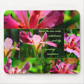 Morning Revelation Muismat