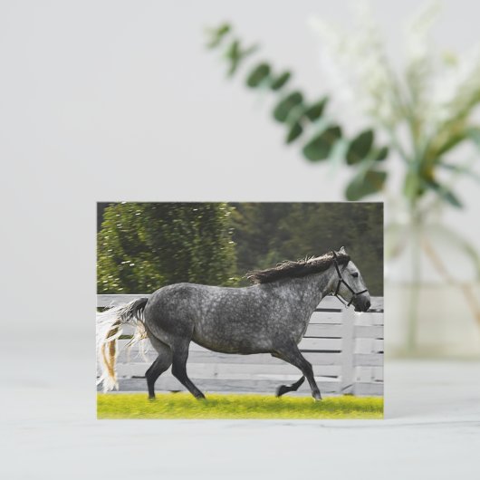 Morning Run Briefkaart (Staand voorkant)