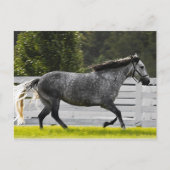 Morning Run Briefkaart (Voorkant)