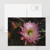 Morning Shade Briefkaart (Voorkant / Achterkant)