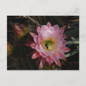 Morning Shade Briefkaart (Voorkant)