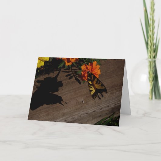 "Morning Shadow" Pasen Kaart (Voorkant)