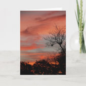 Morning Sky Kaart (Voorkant)