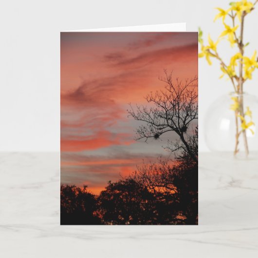 Morning Sky Kaart (Gele Bloem)