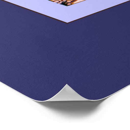 Morning Star ~ Alphonse Mucha Poster (Hoek)