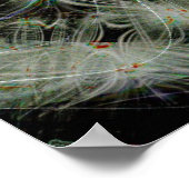 Morning Star Poster (Hoek)