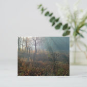 morning sun @ the wetlands briefkaart (Staand voorkant)