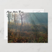 morning sun @ the wetlands briefkaart (Voorkant / Achterkant)