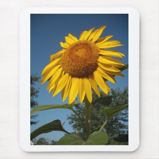Morning Sunflower Muismat (Voorkant)