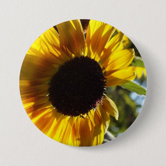 Morning Sunflower Ronde Button 7,6 Cm (Voorkant)