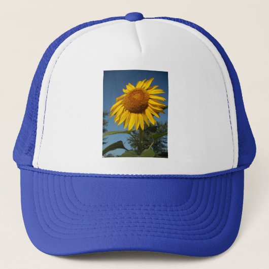 Morning Sunflower Trucker Pet (Voorkant)