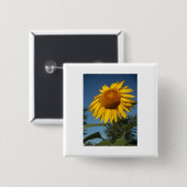 Morning Sunflower Vierkante Button 5,1 Cm (Voorkant /achterkant)