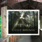 Morning Sunlight through Trees, Effigy Mounds, IA Briefkaart