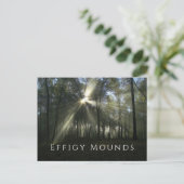 Morning Sunlight through Trees, Effigy Mounds, IA Briefkaart (Staand voorkant)