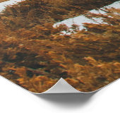 Morning Sunrise Cabin in Grand Teton National Park Poster (Hoek)