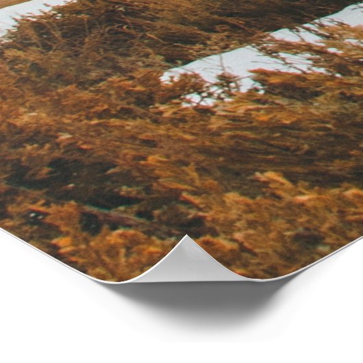 Morning Sunrise Cabin in Grand Teton National Park Poster (Hoek)