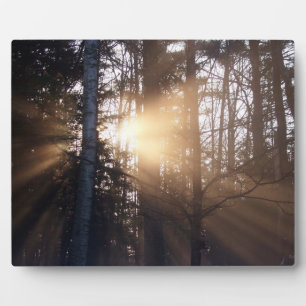 Morning Sunrise Plaque Fotoplaat