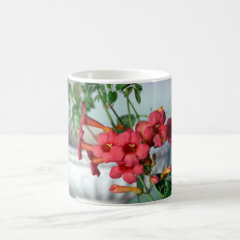 Morning Trumpets Mok