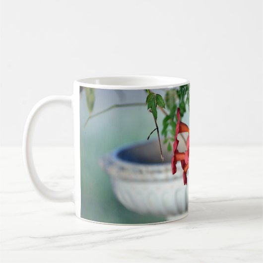 Morning Trumpets Mok (Links)