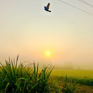 Morning Village uitzicht Poster