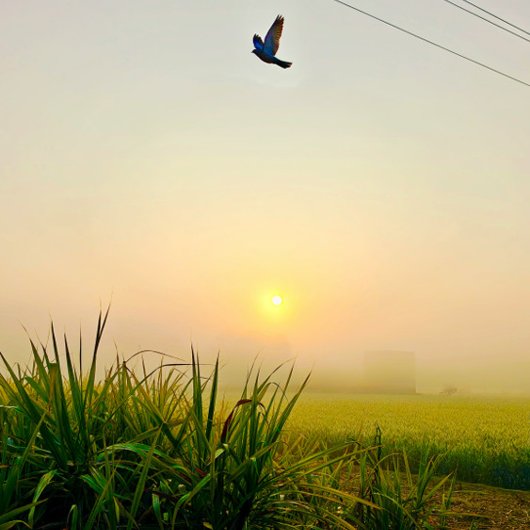 Morning Village uitzicht Poster