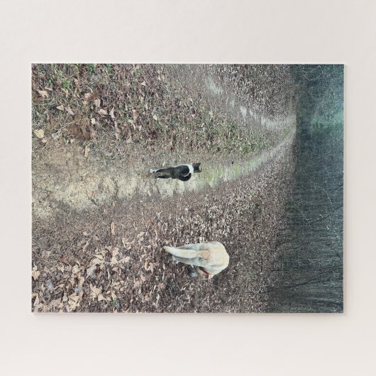 Morning Walk Legpuzzel (Horizontaal)