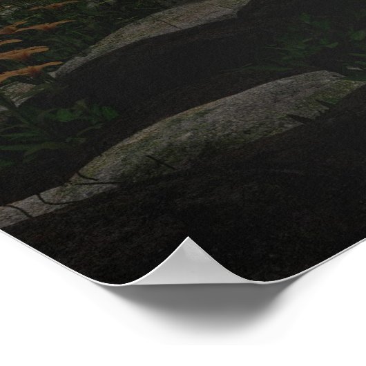 Morning Waterfall Poster (Hoek)