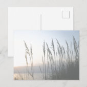 Morning Whisper Briefkaart (Voorkant / Achterkant)