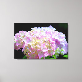 Morning Whisper-paarse Hydrangea Canvas Afdruk