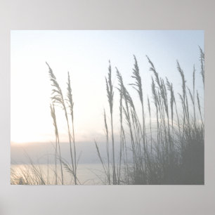 Morning Whisper Poster