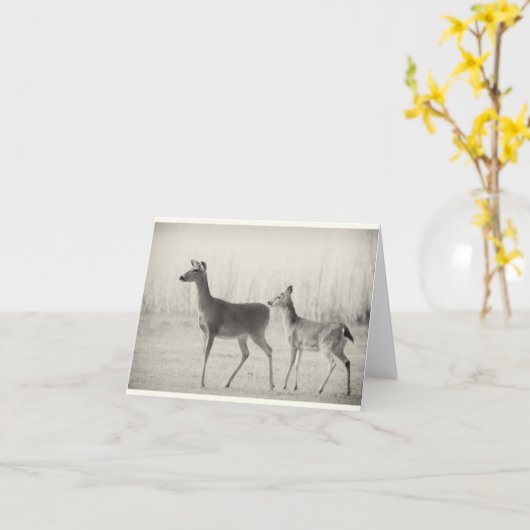 Morning Whitetails Kaart (Gele Bloem)