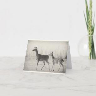 Morning Whitetails Kaart