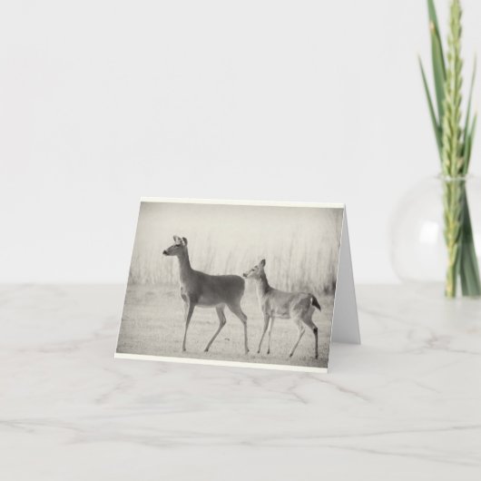 Morning Whitetails Kaart (Voorkant)