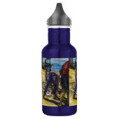 Morning's Catch, Harbour Island, Bahamas Waterfles (Links)