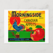 Morningside Apple LabelCanada Briefkaart (Voorkant)