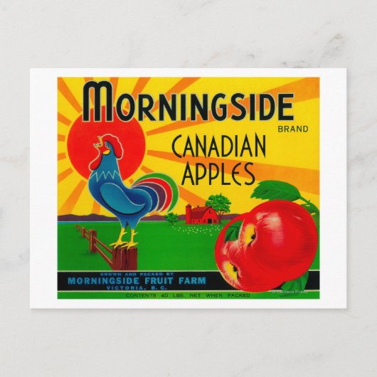 Morningside Apple LabelCanada Briefkaart (Voorkant)