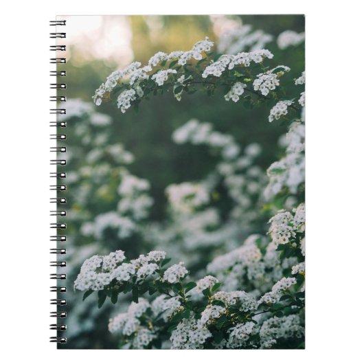 MORNLICHT NOTITIEBOEK (Voorkant)