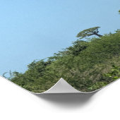 Morondava Laan van de Baobabs Poster (Hoek)