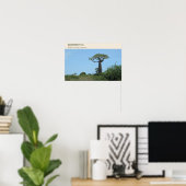 Morondava Laan van de Baobabs Poster (Thuiskantoor)
