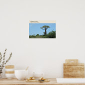 Morondava Laan van de Baobabs Poster (Keuken)