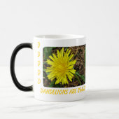 Morphing Mok van Dandelions (Links)