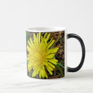 Morphing Mok van Dandelions